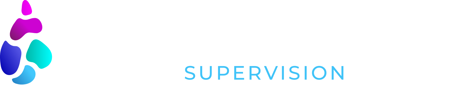 Supervision-Logo